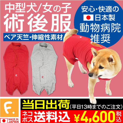 商品画像1