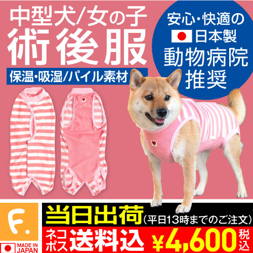 商品画像1