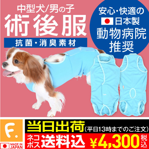 商品画像1