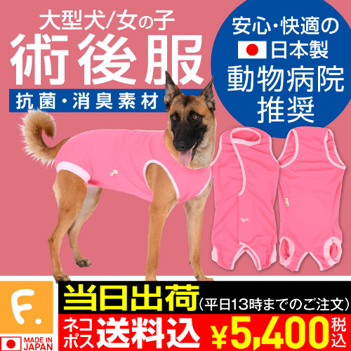 商品画像1