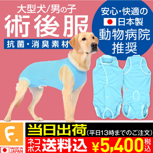 商品画像1