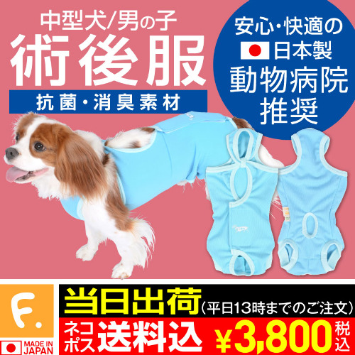 商品画像1