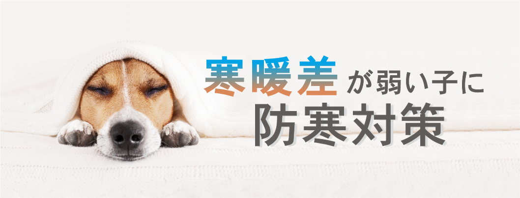 防寒対策