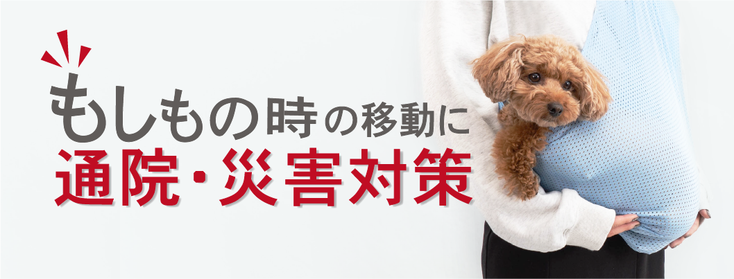 通院・防災時避難対策