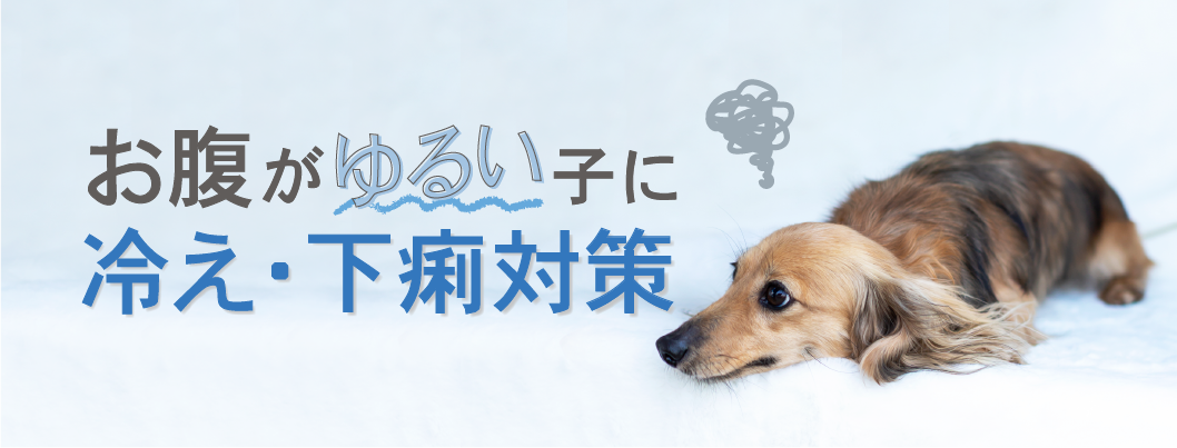 冷え・下痢対策