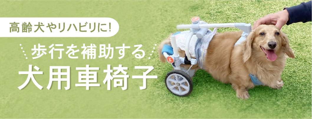 歩行補助・介助犬グッズ