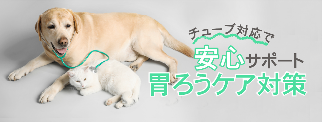 胃ろうケア対策