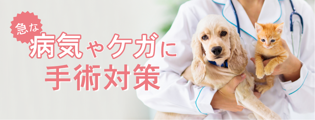 病気・ケガでの手術対策