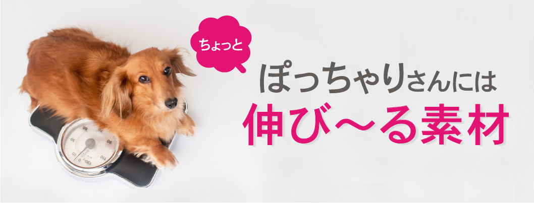 ぽっちゃりさんには伸びる素材
