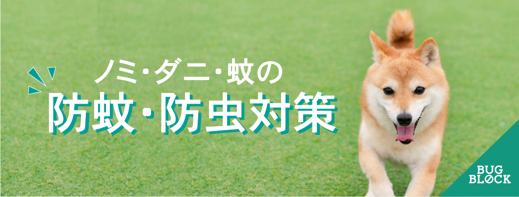 ノミ・ダニ・蚊対策