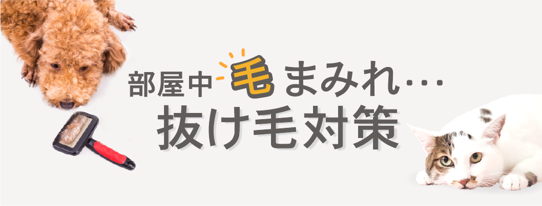 抜け毛対策
