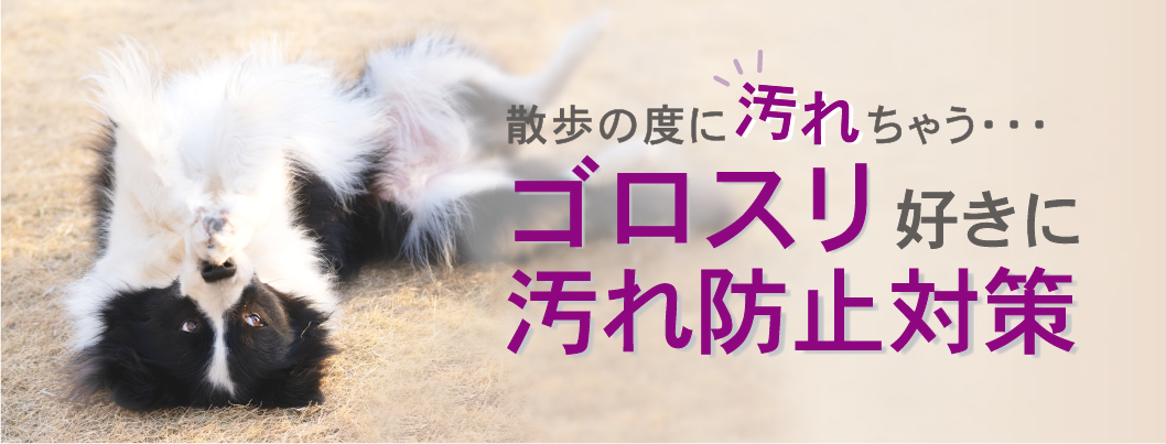 お散歩時の汚れ対策