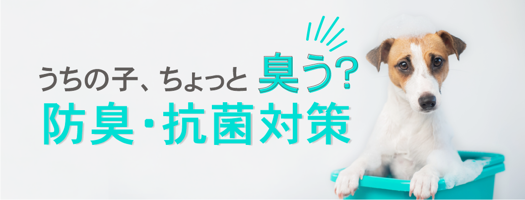 体臭・防菌対策