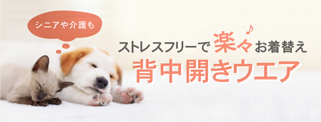 着脱ラクラク簡単