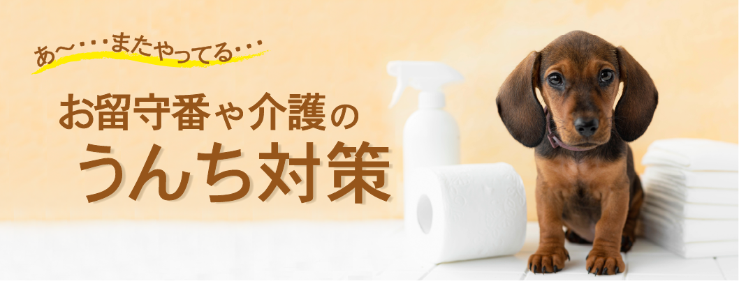 うんち漏れ・粗相対策