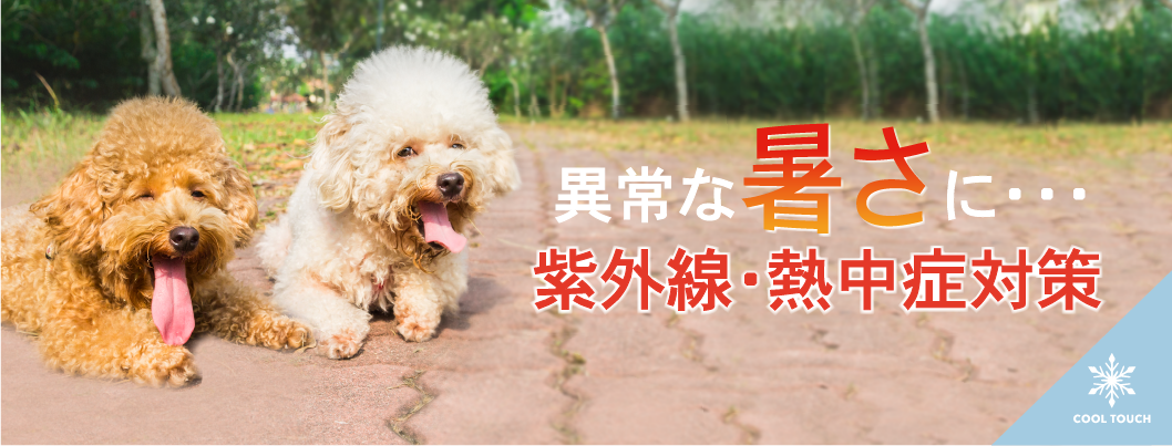 紫外線・熱中症対策