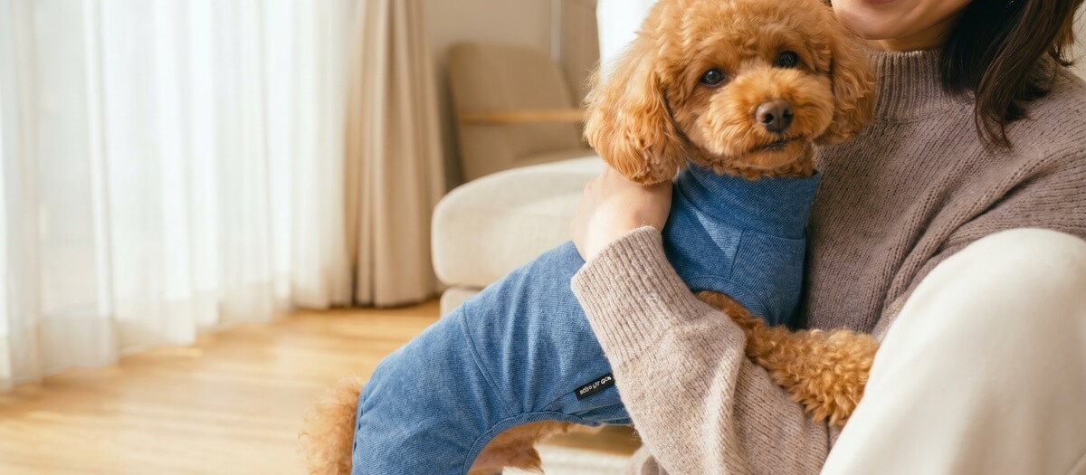 清潔感のある防臭ウエアを着た犬または猫がオーナーに寄り添う明るいシーン