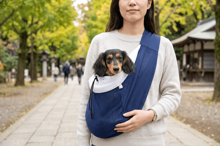 防災リュックと一緒にコンパクトなドッグスリングを準備している様子
