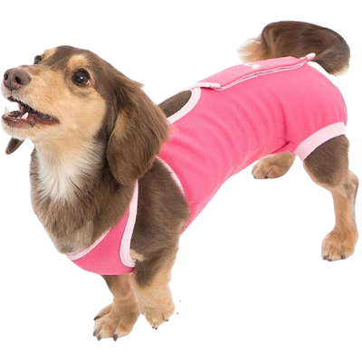 ダックス・小型犬