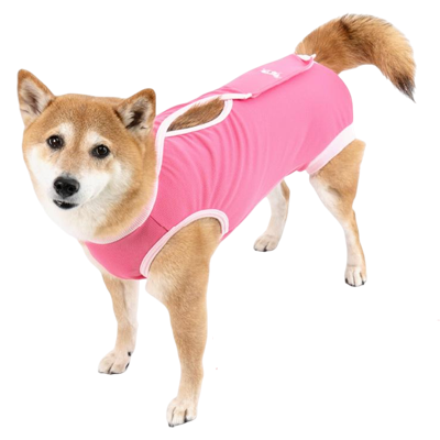 中型犬