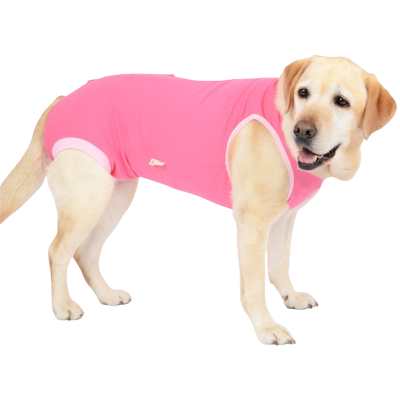 大型犬
