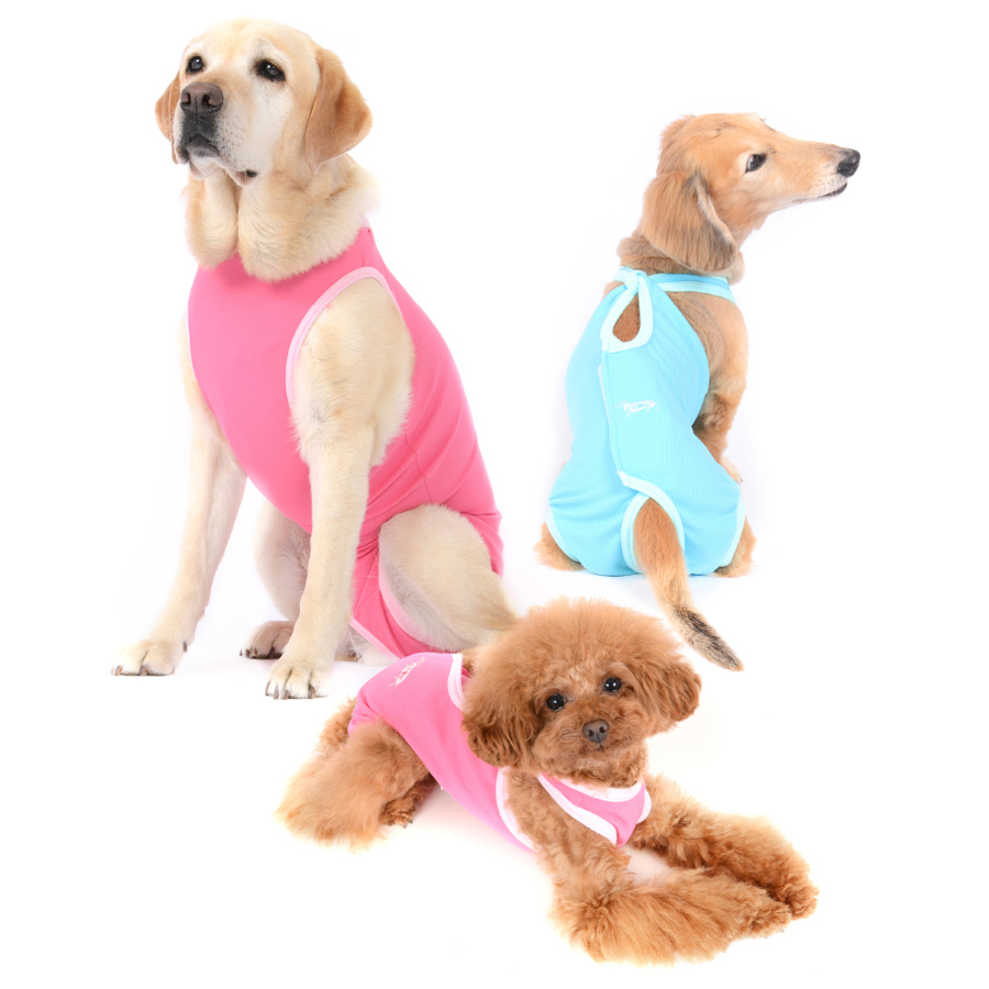 術後服エリザベスウエア®を着てリラックスする犬と猫