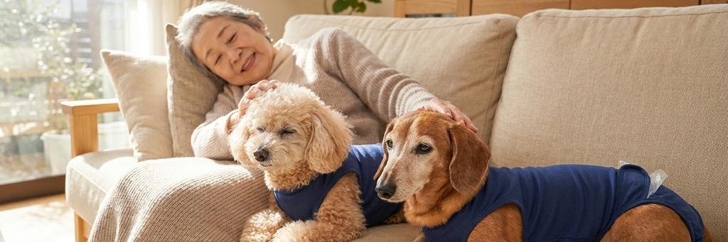 プーぱんつを着けた老犬とダックスがオーナーに寄り添って穏やかに並ぶバナー