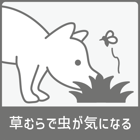 草むらで虫が気になる犬