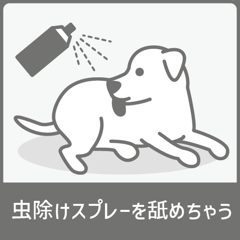虫除けスプレーを舐めてしまう犬