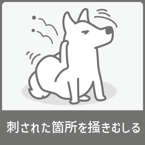 刺された箇所を掻きむしる犬