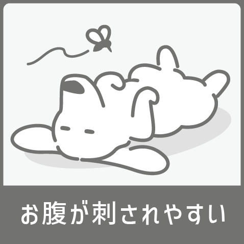 お腹が刺されやすい犬