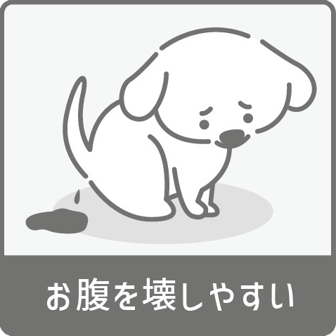 お腹を壊しやすい