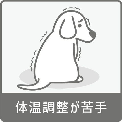 体温調整が苦手