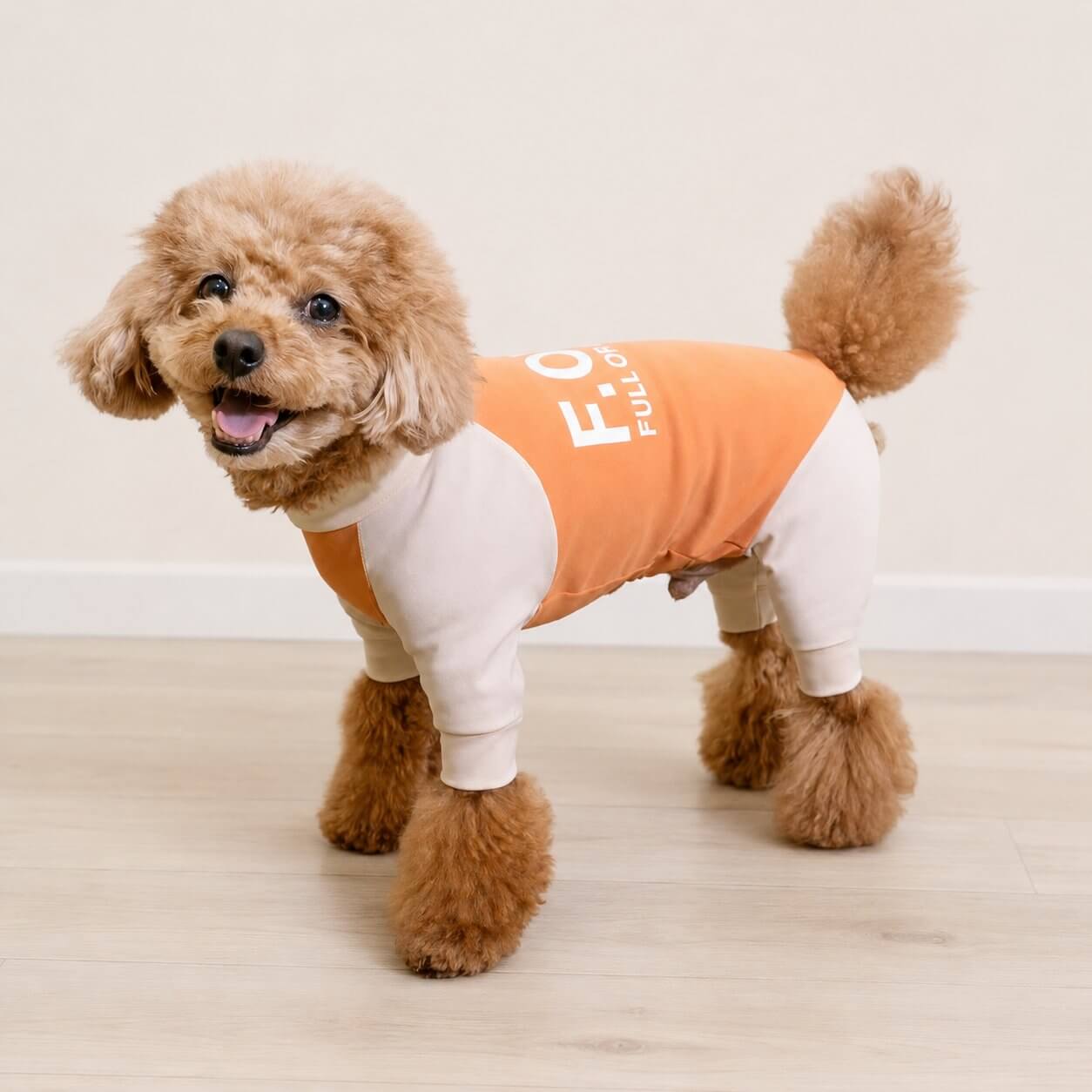 ダックス服、小型犬（チワワ トイプードル シーズー）の服 | 犬猫の服