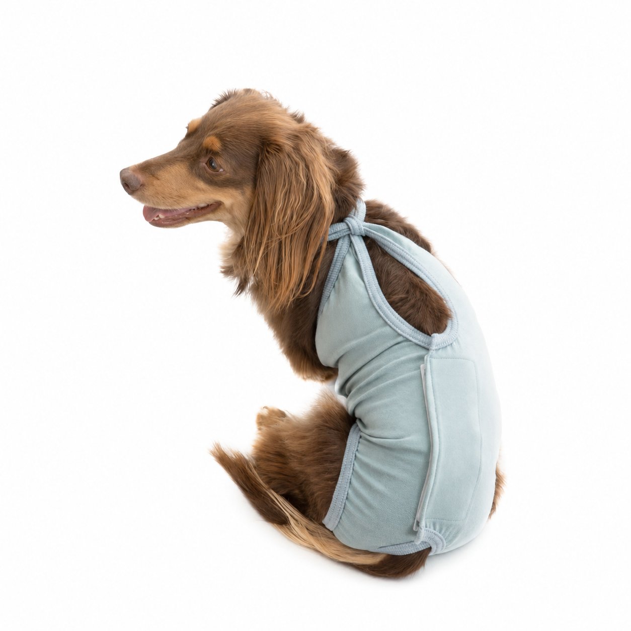 犬用マナーパンツ 介護服 マナーベルト