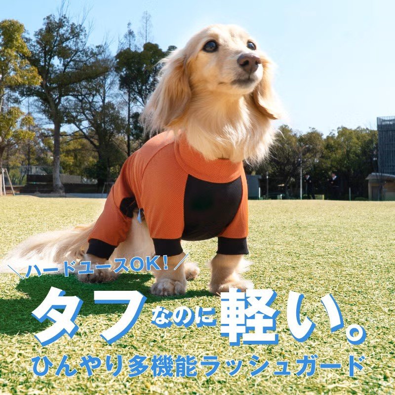 接触冷感ラッシュガード｜夏のお散歩を、ひんやり快適に｜full of vigor