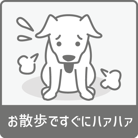 お散歩ですぐにハァハァする犬