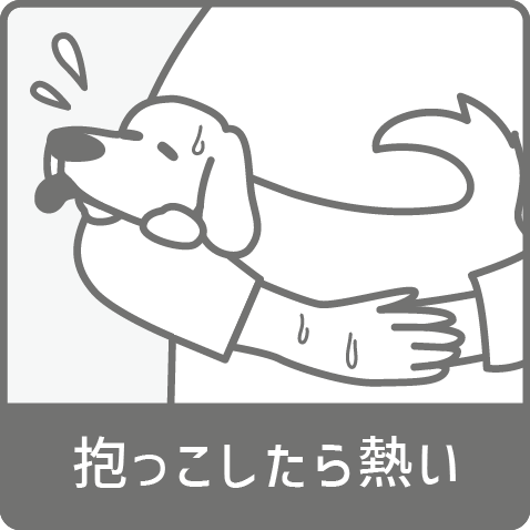 抱っこしたら熱い犬
