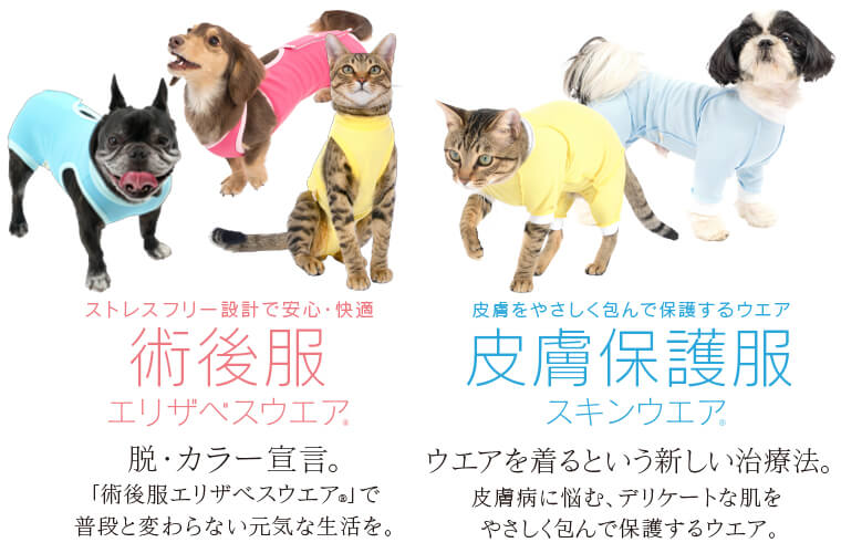 犬 猫用術後服エリザベスウエア R ダックス 小型犬専門 ドッグスリング 犬の服 マナーパンツ サニタリーパンツ ドッグウェア チワワ コーギー トイプードル パグ の犬の服の通販フルオブビガー