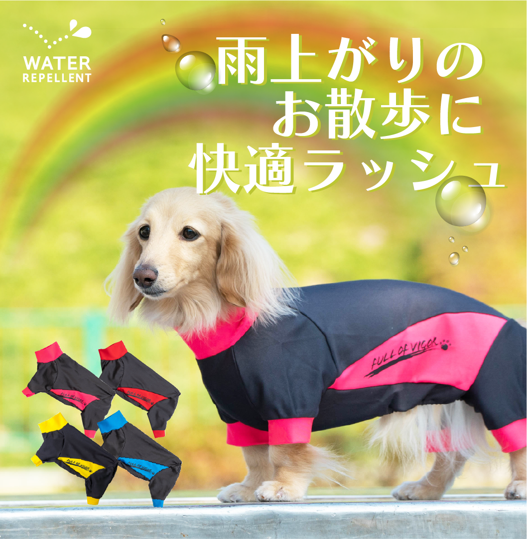 選べる楽しさ レインボーカラーの撥水レインラッシュガード