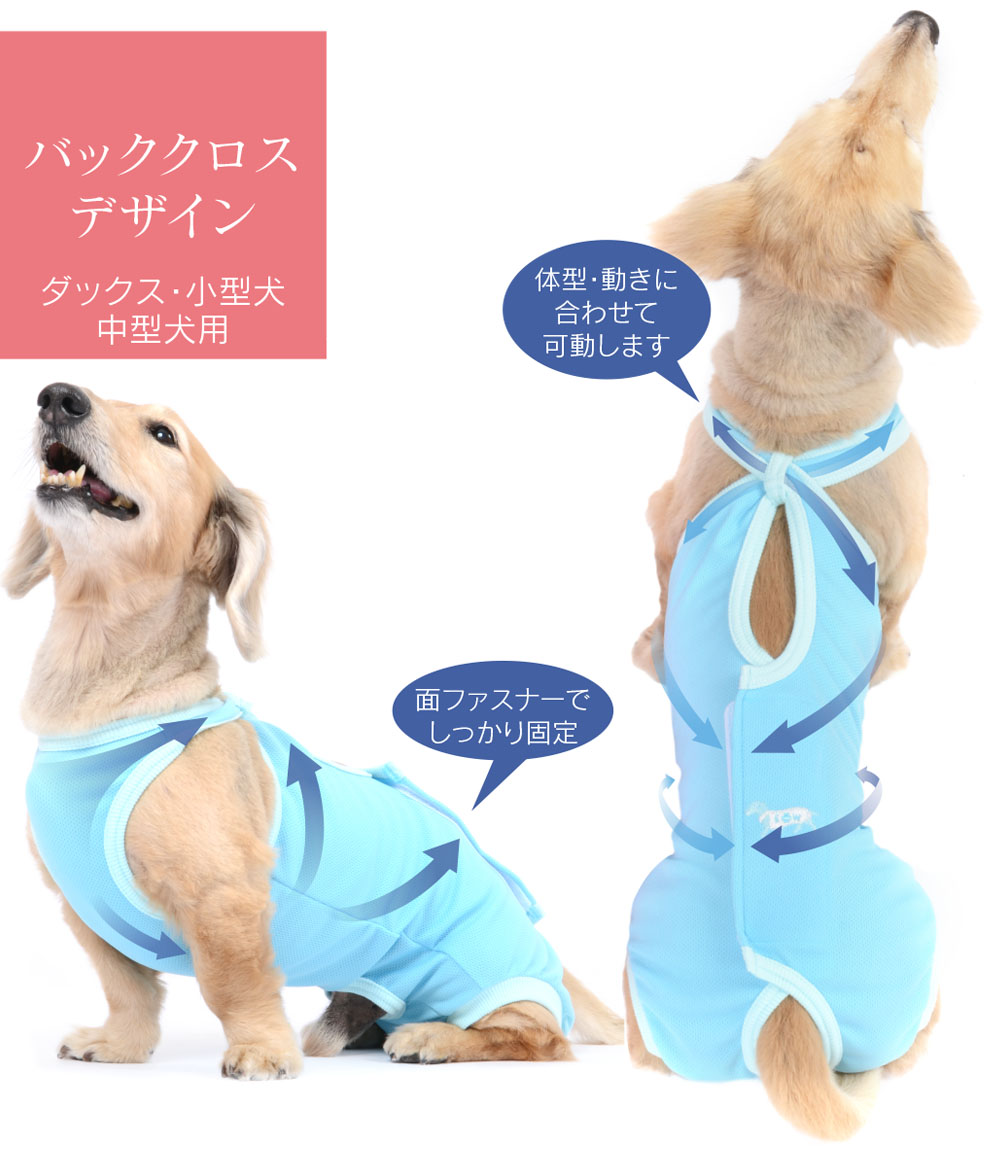 新入荷 流行 日本再検品後発送安心 犬猫用去勢手術後引っ掻け防止 通気抜群