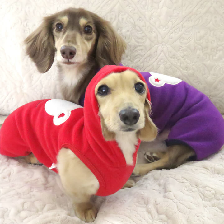 楽天市場 くまさんアップリケフリースつなぎ ネコポス値3 犬服 ドッグウエア カバーオール オールインワン ロンパース ダックス チワワ トイプードル パグ 小型犬 ペット服 冬服 犬猫の服 Full Of Vigor フルオブビガー Full Of Vigor 楽天市場 くまさんアップリケフリースつなぎ ネコポス値3 犬服 ドッグウエア カバーオール オールインワン ロンパース ダックス チワワ トイプードル パグ 小型犬 ペット服 冬服 犬猫の服 Full Of Vigor フルオブビガー Full Of Vigor
