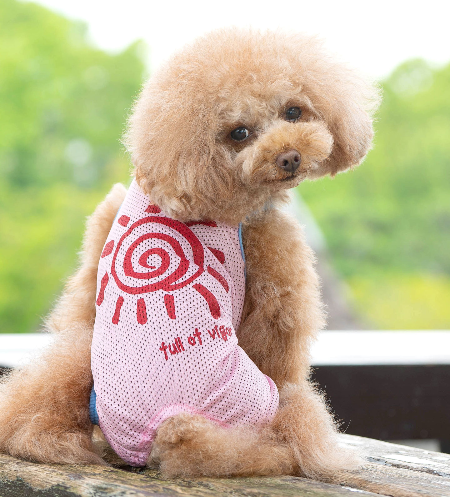 楽天市場 送料込 おひさまプリントメッシュつなぎ ネコポス値2 日本製 国産 犬の服 犬服 ドッグウエア カバーオール オールインワン ダックス チワワ トイプードル パグ 小型犬 ペット服 夏服 国産ウエア 犬猫の服 フルオブビガー エリザベスウエア 楽天市場 送料込 おひさまプリントメッシュつなぎ ネコポス値2 日本製 国産 犬の服 犬服 ドッグウエア カバーオール オールインワン ダックス チワワ トイプードル パグ 小型犬 ペット服 夏服 国産ウエア 犬猫の服 フルオブビガー エリザベスウエア