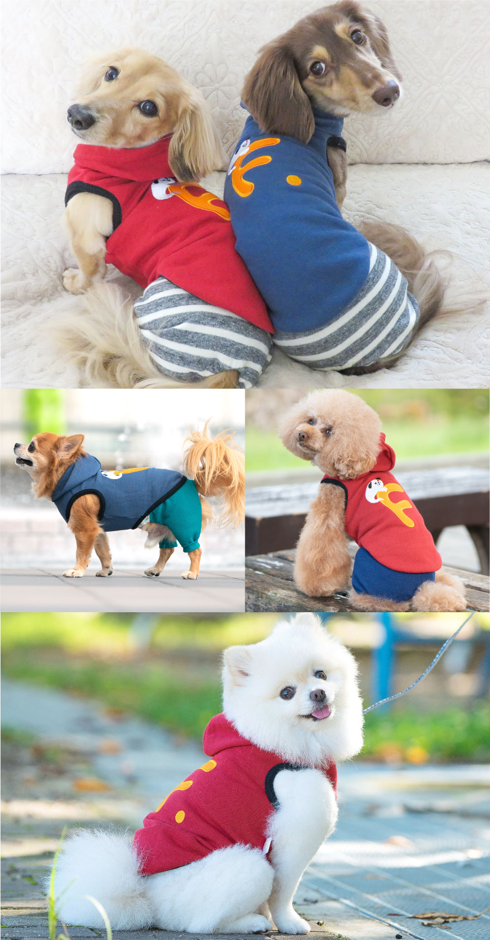 楽天市場 送料込 18秋冬新作 F おばけアップリケ裏毛パーカー ネコポス値3 犬服 ドッグウエア ダックス チワワ トイプードル パグ 小型 犬 ペット服 フリース トレーナー 秋 冬服 犬猫の服 Full Of Vigor フルオブビガー エリザベスウエア 楽天市場 送料込 18秋冬新作 F おばけアップリケ裏毛パーカー ネコポス値3 犬服 ドッグウエア ダックス チワワ トイプードル パグ 小型 犬 ペット服 フリース トレーナー 秋 冬服 犬猫の服 Full Of Vigor フルオブビガー エリザベスウエア