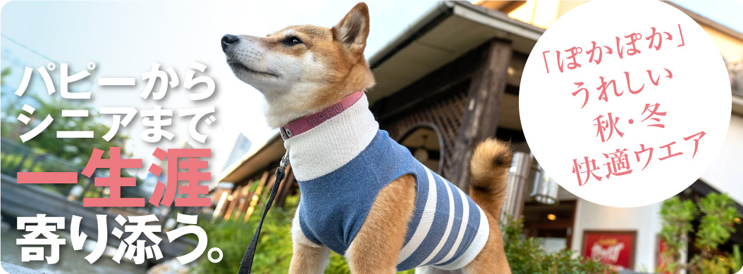 フルの最新商品 開催イベント一挙大公開