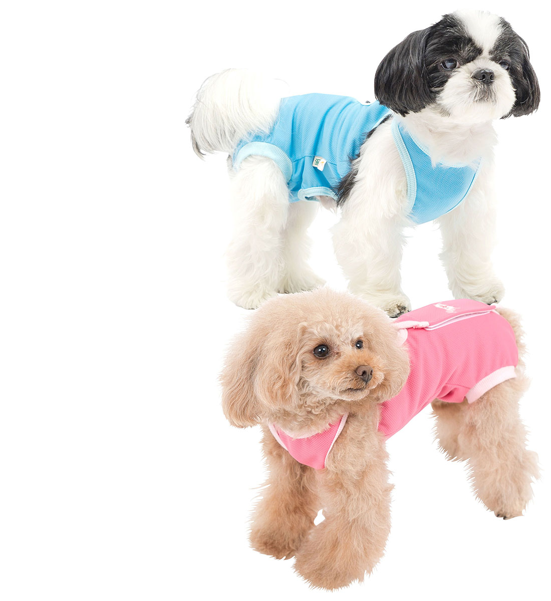 ダックス 猫 小型犬の服 ドッグスリング 犬用スリング 犬 猫の服 マナーパンツ サニタリーパンツ エリザベスカラー ドッグウェア チワワ コーギー トイプードル パグ の犬猫の服の通販フルオブビガー ダックス 猫 小型犬の服 ドッグスリング 犬用スリング 犬 猫の服 マナーパンツ サニタリーパンツ エリザベスカラー ドッグウェア チワワ コーギー トイプードル パグ の犬猫の服の通販フルオブビガー