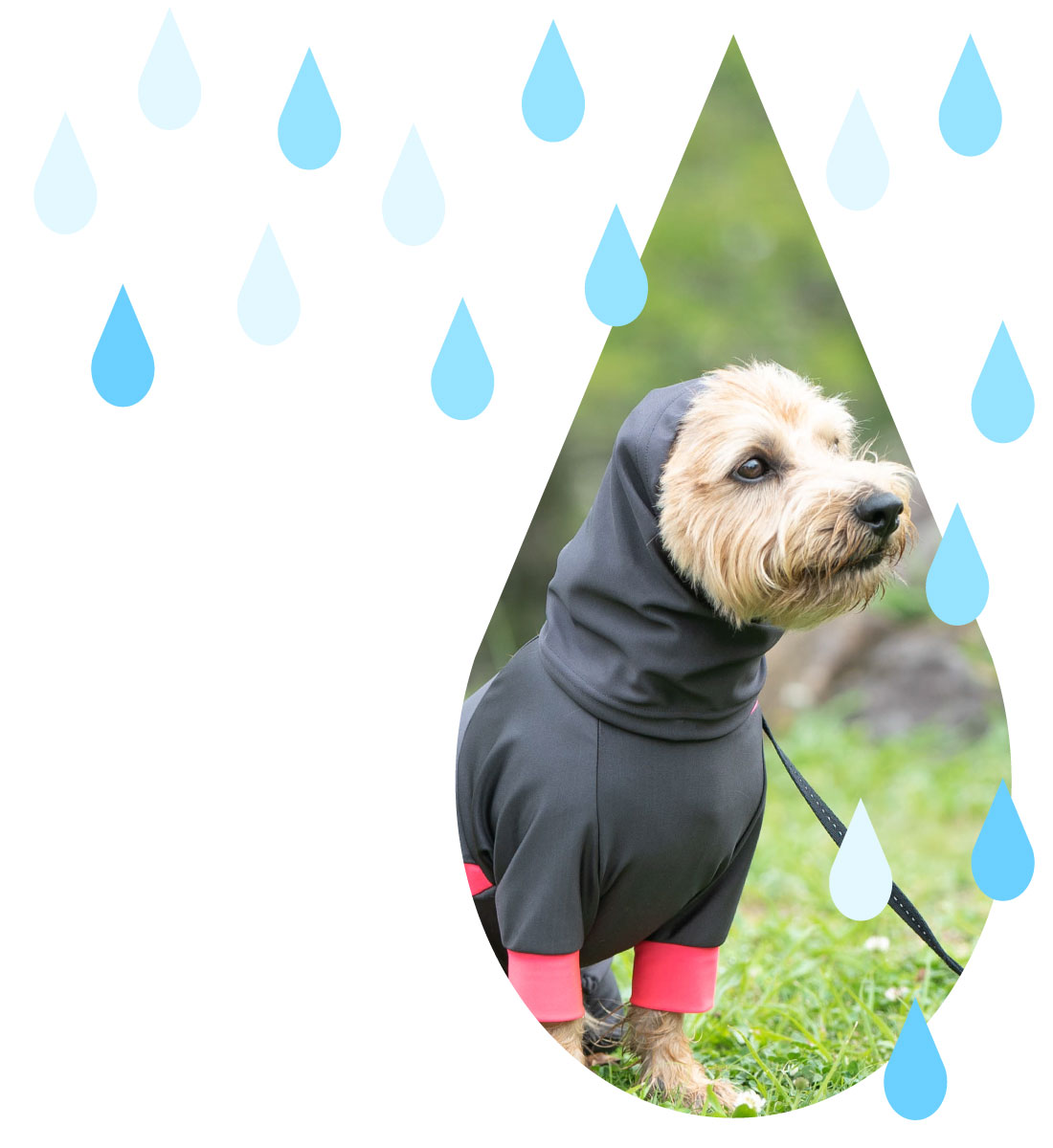 ダックス 猫 小型犬の服 ドッグスリング 犬用スリング 犬 猫の服 ドッグウェア チワワ コーギー トイプードル パグ の犬 猫の服の通販フルオブビガー