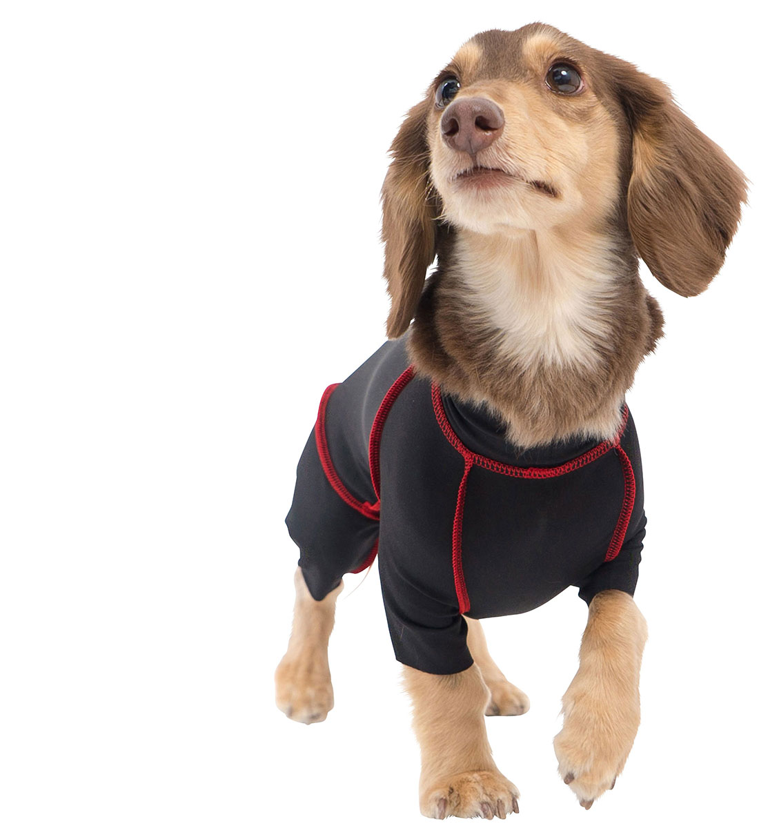 ダックス 猫 小型犬の服 ドッグスリング 犬用スリング 犬 猫の服 マナーパンツ サニタリーパンツ エリザベスカラー ドッグウェア チワワ コーギー トイプードル パグ の犬猫の服の通販フルオブビガー ダックス 猫 小型犬の服 ドッグスリング 犬用スリング 犬 猫の服 マナーパンツ サニタリーパンツ エリザベスカラー ドッグウェア チワワ コーギー トイプードル パグ の犬猫の服の通販フルオブビガー